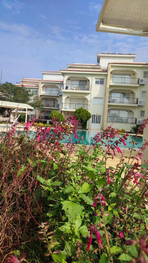 Fantastic 4 Cyprus First Line Beachfront Boghaz Exterior foto